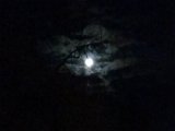 20160324_205954.jpg