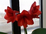 20160401_135059.jpg