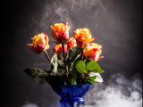 IMG_0024_rosen_nebel_small.jpg