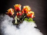 IMG_0030_rosen_nebel_small.jpg
