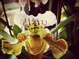 IMG_20150424_074108.jpg