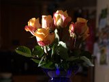 IMG_2038.CR2