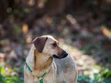 IMG_1896.jpg