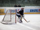 IMG_2211.jpg