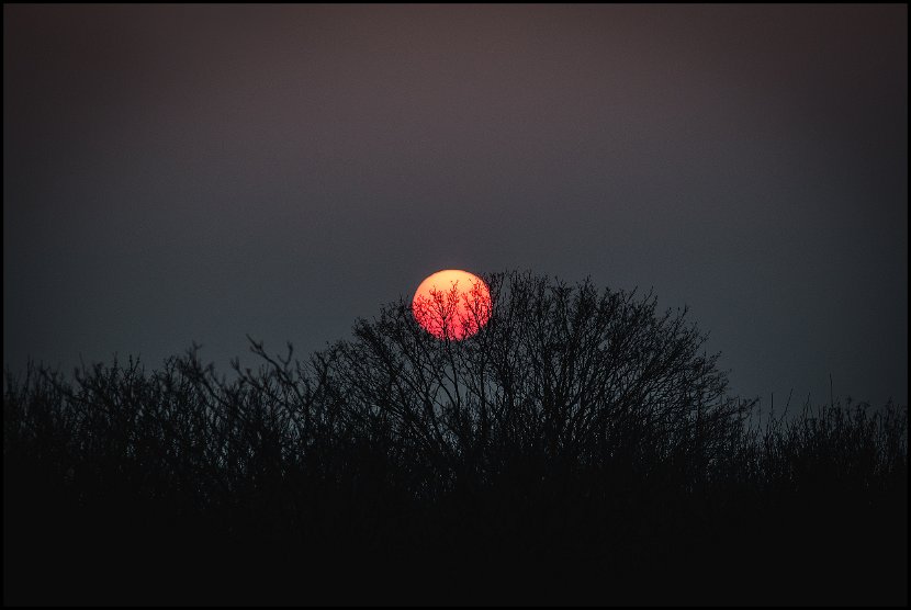 IMGL0756_mond_small