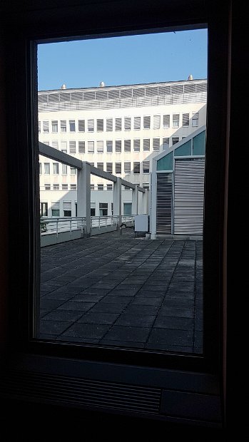 20180604_082626(0)