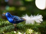 IMG_0017.jpg
