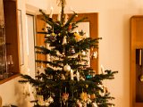 IMG_0028.jpg