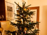 IMG_0166.jpg