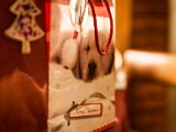 IMG_0261.jpg