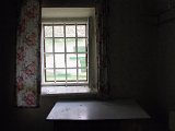 IMG_9820.JPG