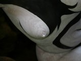 IMG_4175.JPG