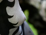 IMG_4177.JPG