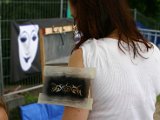 IMG_5568.JPG