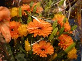IMG_2094 b.jpg