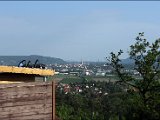 IMG_0485.JPG