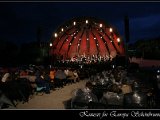 IMG_3410.JPG
