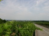 IMG_4885.JPG