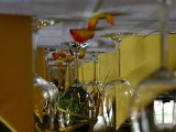 IMG_6779.JPG