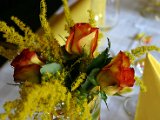 IMG_6780.JPG