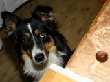 IMG_6799.JPG