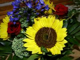 IMG_6810.JPG