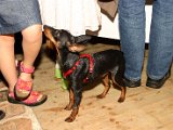 IMG_6884.JPG