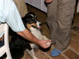 IMG_6897.JPG