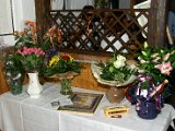 IMG_6997.JPG