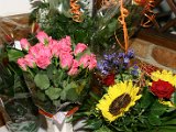 IMG_7000.JPG