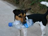 IMG_7674.JPG