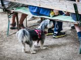 IMG_0325.jpg