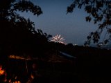 IMG_0501.jpg