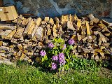 20210613_163814(0).JPG