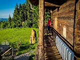 20210613_191758.JPG