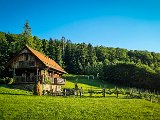20210613_193038(0).JPG