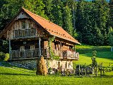 20210613_193050.JPG