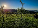 20210613_194328.JPG