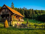 20210613_201548.JPG