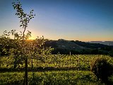 20210613_202229.JPG
