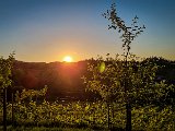 20210613_202438.JPG