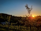 20210613_202650.JPG