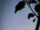 20210613_212436.JPG