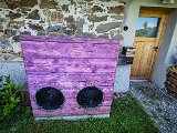 20210614_112427.JPG