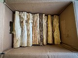 20210614_114218.JPG