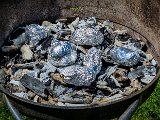 20210614_135011.JPG