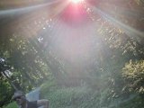 20210614_185242.JPG