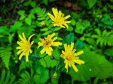 20210614_190551.JPG