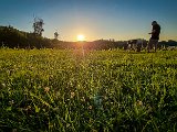 20210614_201511.JPG