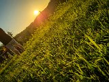 20210614_201654(0).JPG